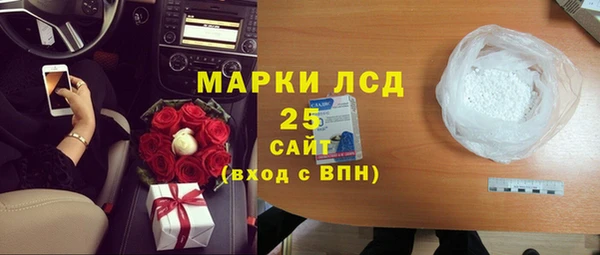 МДПВ Бородино