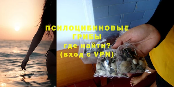 МДПВ Бородино