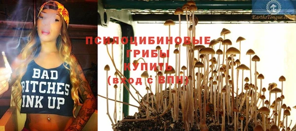 spice Верея