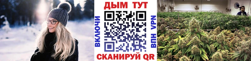 Канабис AK-47 Каневская